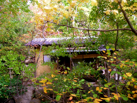 Japanese Tea House, Anderson Gardens, Autumn 2008 teahouse1
